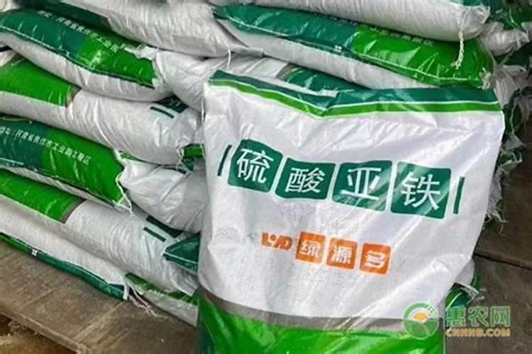 果树缺钙用什么肥料最适合(果树需补什么钙肥最好)