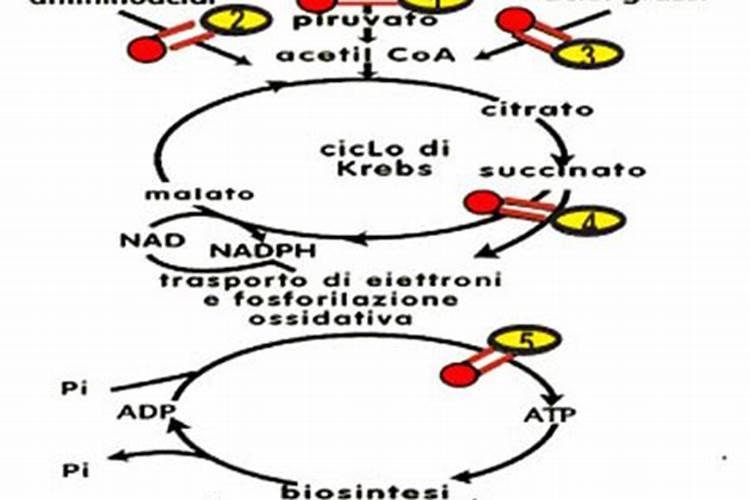 代森锰锌可以充当水稻锌肥吗？