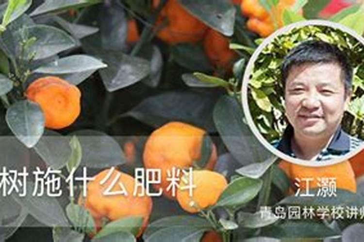 柑橘怎样能增甜 橘子的酸甜度有肥料的影响吗