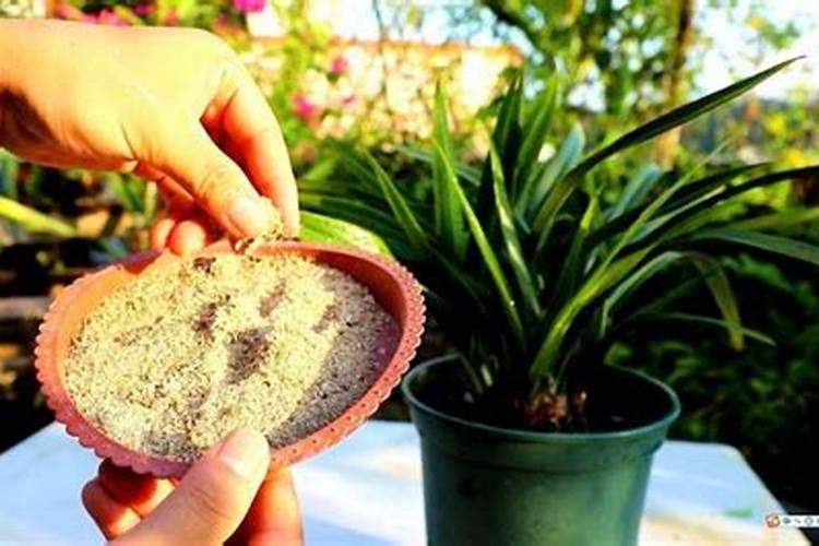 想要取得肥料登记证,你需要取得这些肥料检测报告