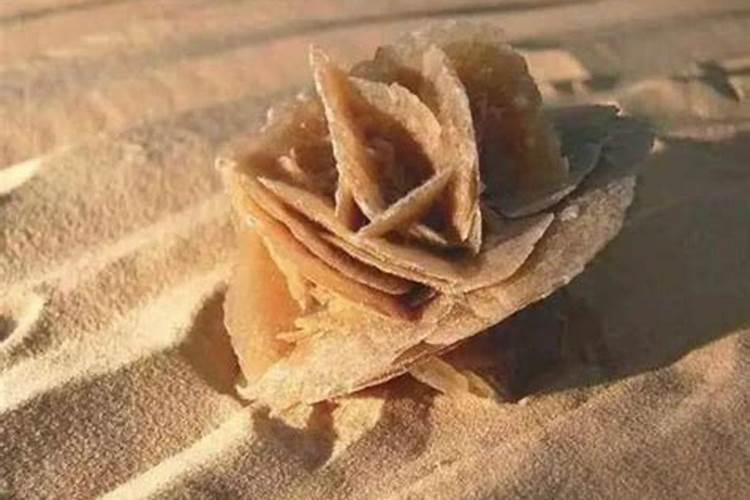 沙漠玫瑰怎么养 沙漠玫瑰的养殖方法和注意事项