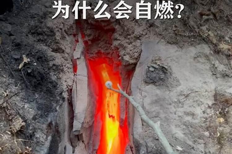 中微量元素肥很火,但用不好能坑死人