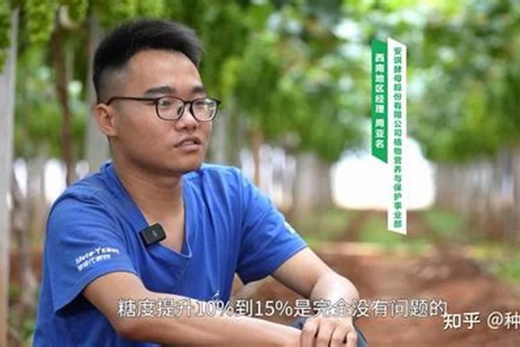 自制蔬菜叶面肥的配方