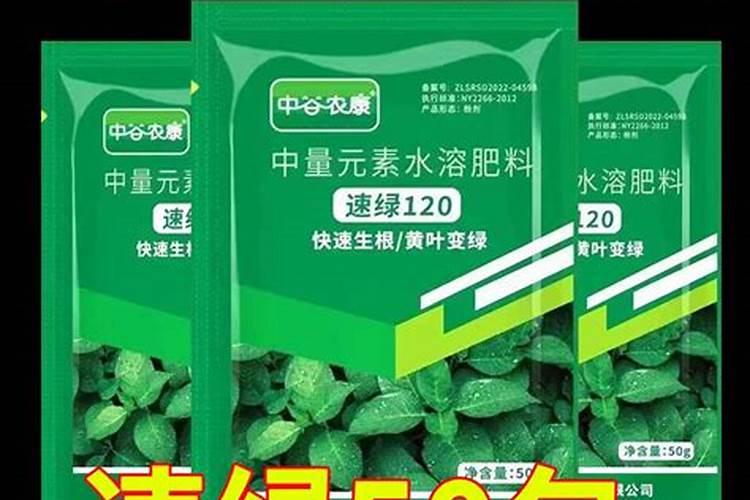 白菜幼苗施什么肥料最好