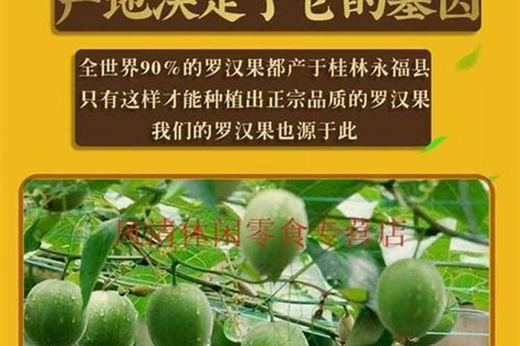 安徽适合种植罗汉果吗冬天？