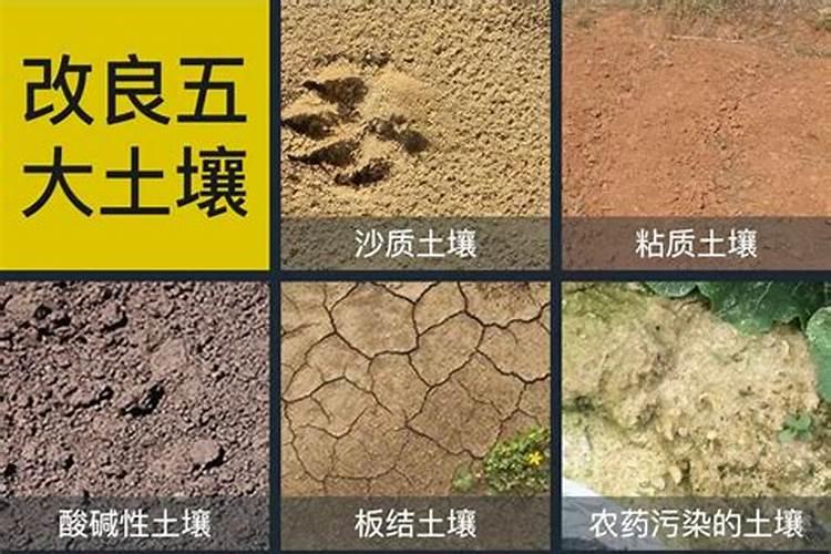 在农村,农业生产中单纯施用化肥会有什么危害？