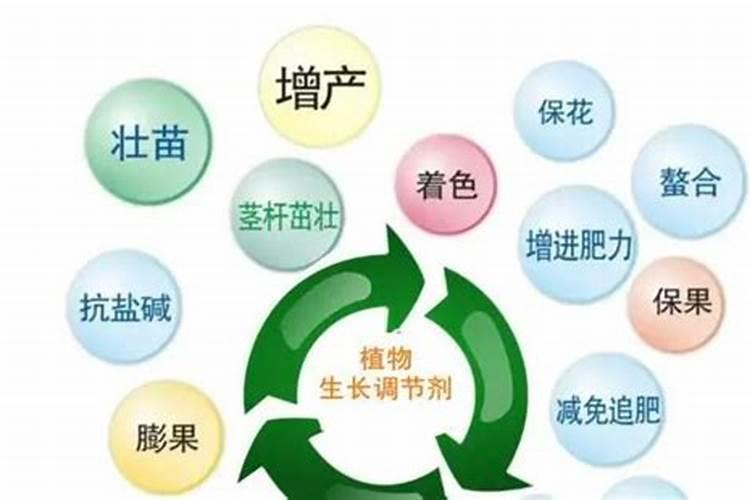 肥料中的激素是什么