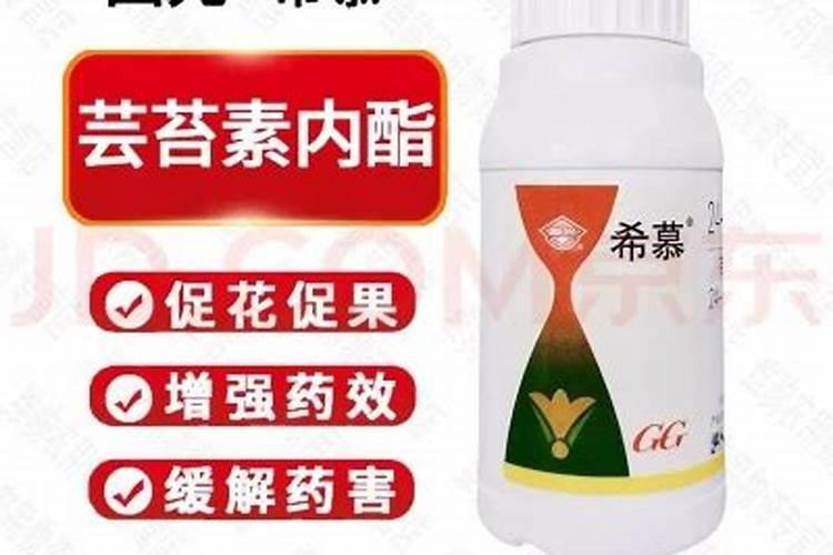 醚菌酯和乳油芸苔素内脂打红果树可以吗？