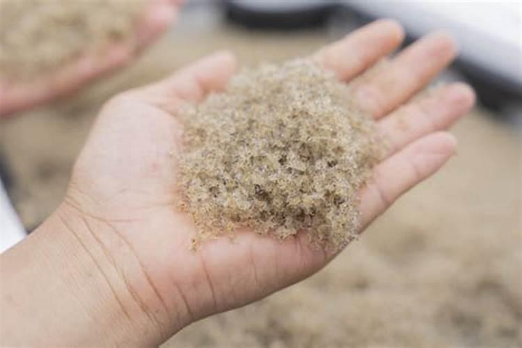 蟹塘水浓水绿怎样变清