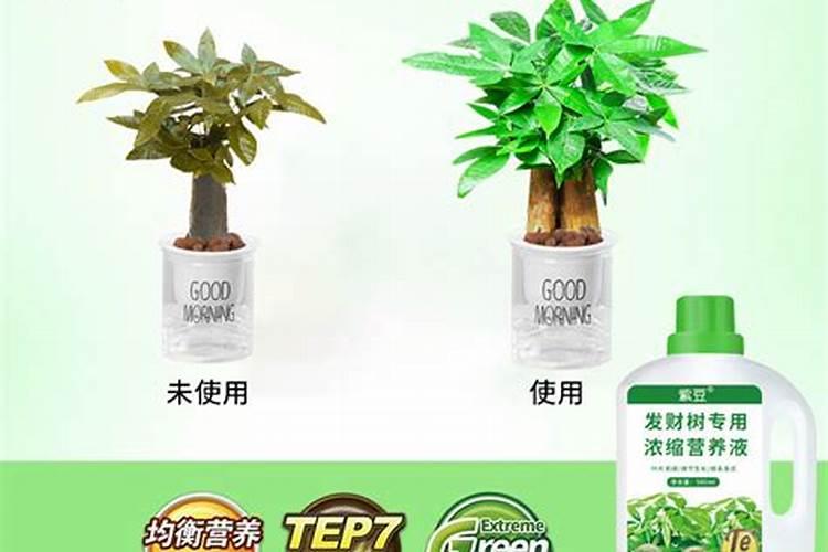 植物营养液和普通化肥有什么区别？
