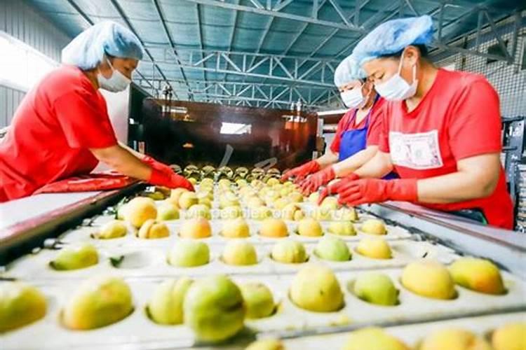 中药材追施冲施肥有效果吗？冲施肥价格多少钱一吨？冲施肥什么时候打好...