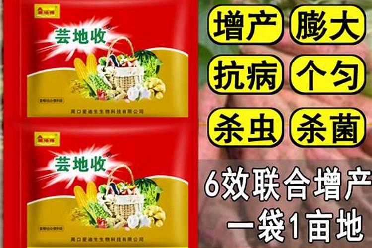 红薯打什么叶面肥增产 植物叶面肥有哪些