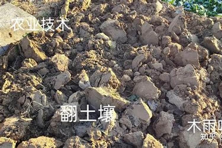 钙肥有哪些 常见的钙肥有哪些