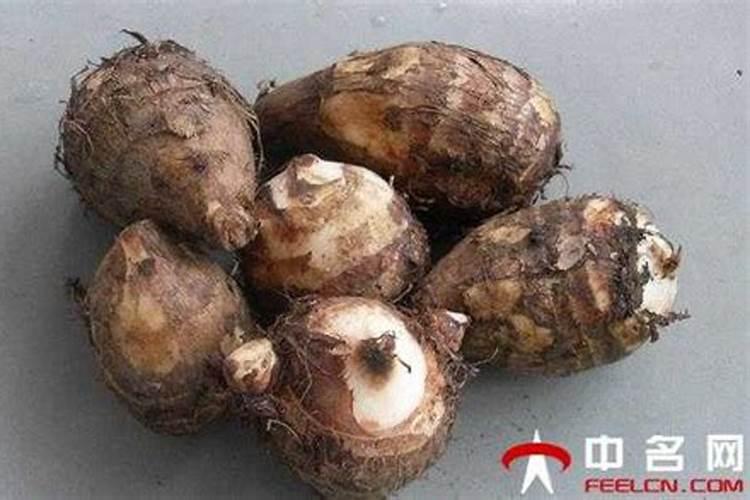 芋头对水肥的要求都有哪些？该如何防治病虫害？