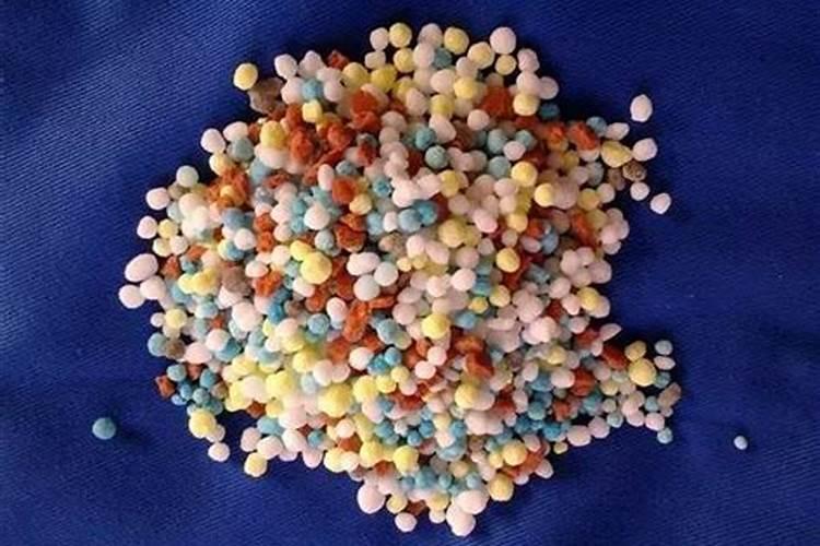 柠檬换盆多久生根发芽 柠檬树移栽多久生根