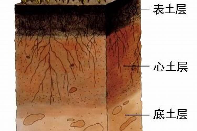 谷孑叶面肥氮肥什么时侯喷？酸二氢钾什么时候喷
