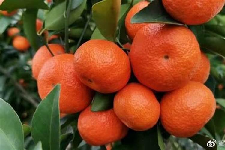 冬小麦施肥的最佳时间 注意事项有哪些