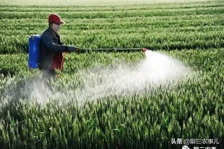 叶面肥喷施注意事项