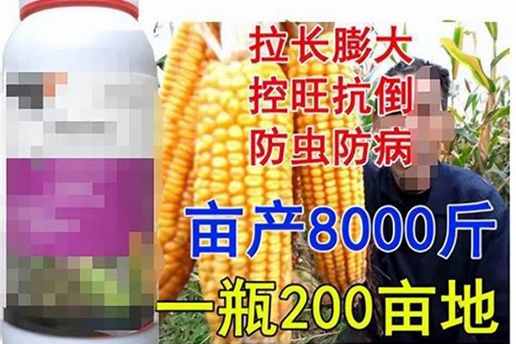 玉米抽雄后还能打叶面肥吗