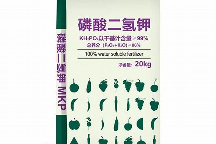 大蒜喷磷酸二氢钾行吗