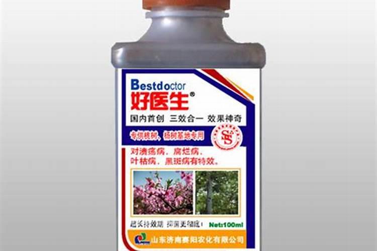 杨树快速增粗新方法怎样让杨树快长粗