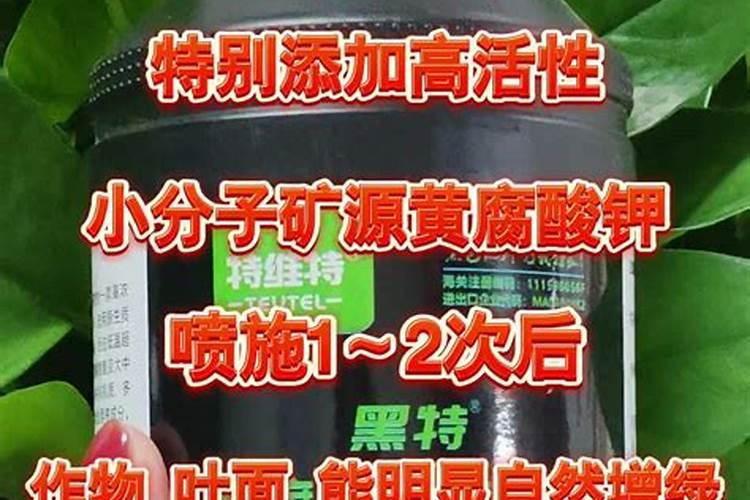 腐植酸叶面肥的具体作用是什么？什么时候用效果最好？