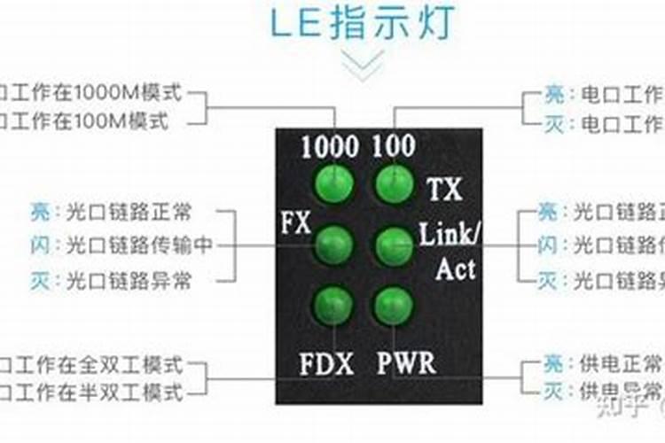 芒果树的灌水及施肥技术