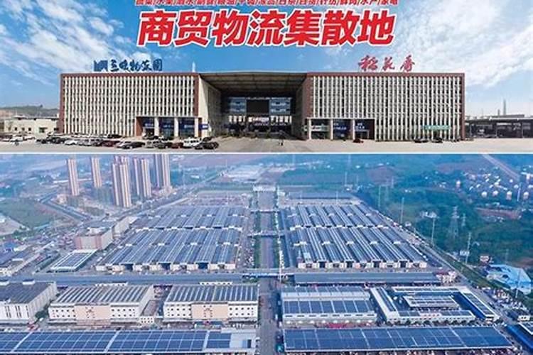 "五年计划"是怎么回事