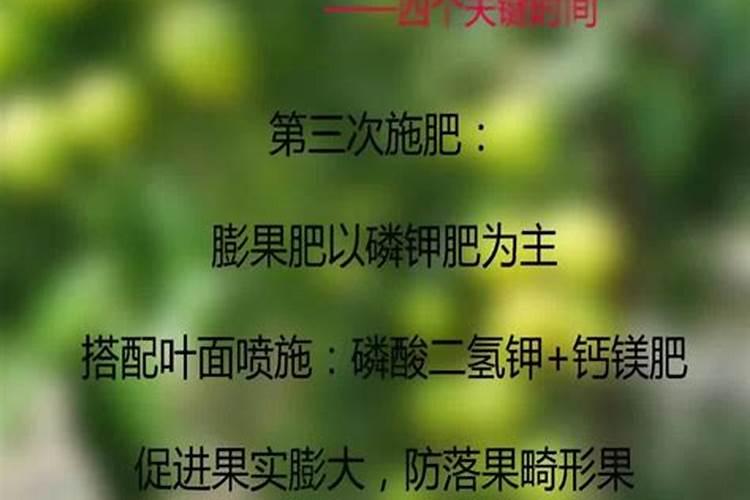 枣树用什么肥料好