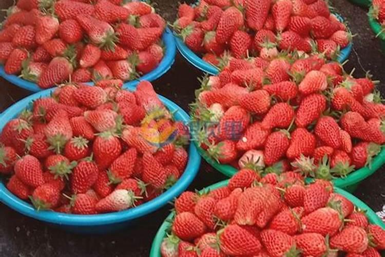 中国最好的果树叶面肥有哪些？