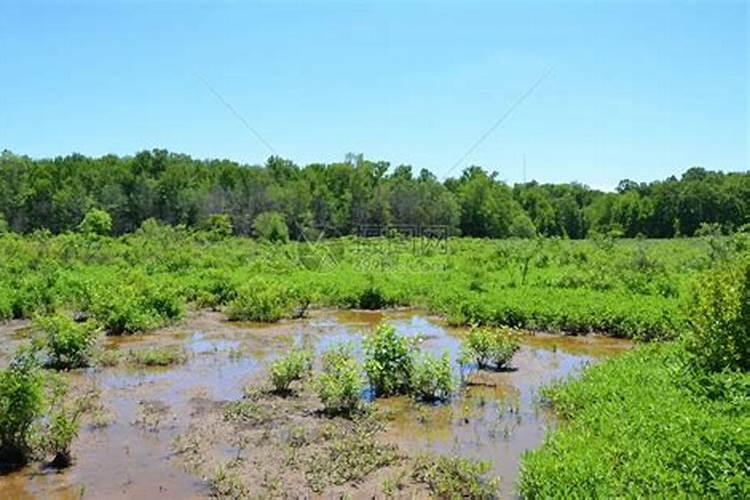 中国十大营养土品牌