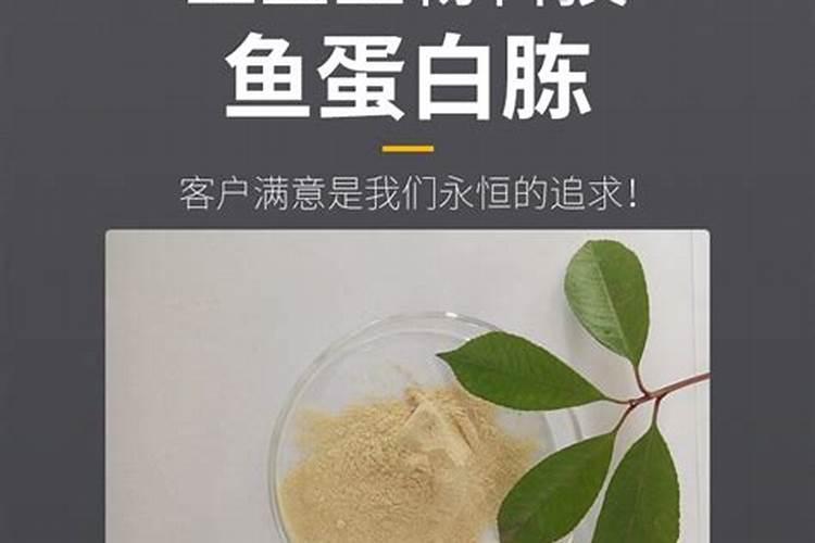 樱桃小果病有何症状？如何防治？