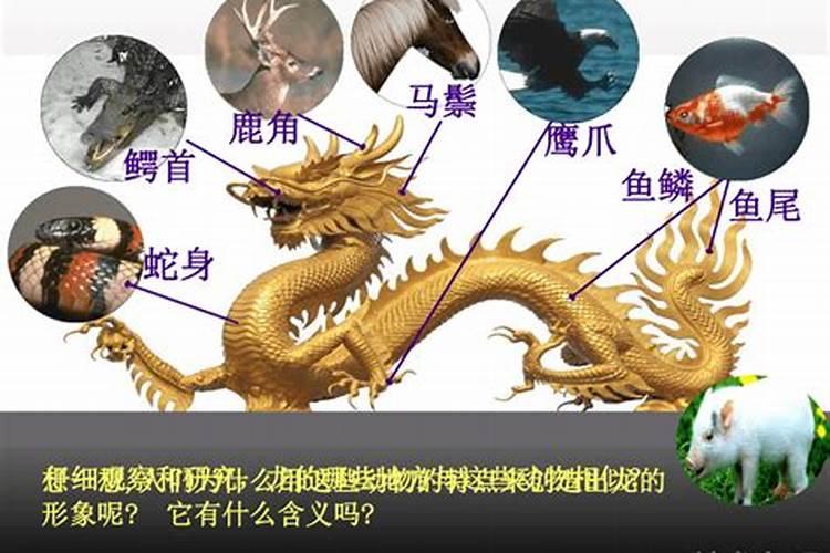 组成玉米的基本元素是什么