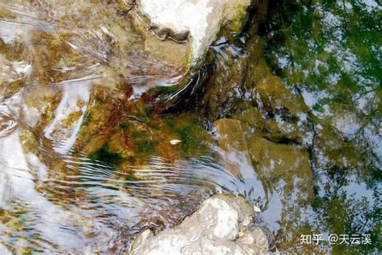 山泉水和矿泉水有什么区别？