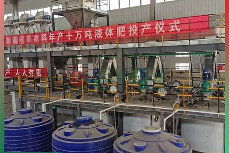 侧柏盆栽怎么种侧柏盆栽养殖方法