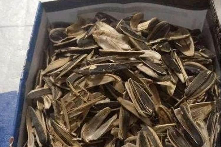 瓜子仁如何做花肥