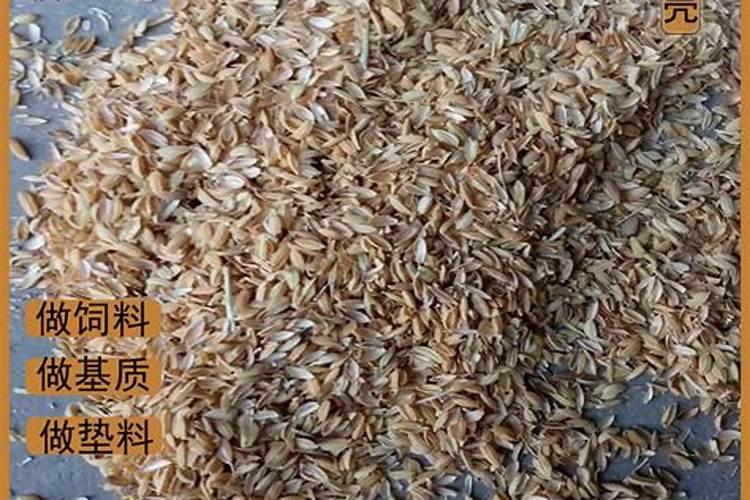 稻壳发酵有机肥方法