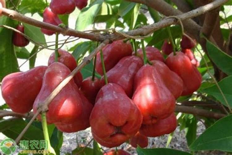 氯化钾液有什么作用