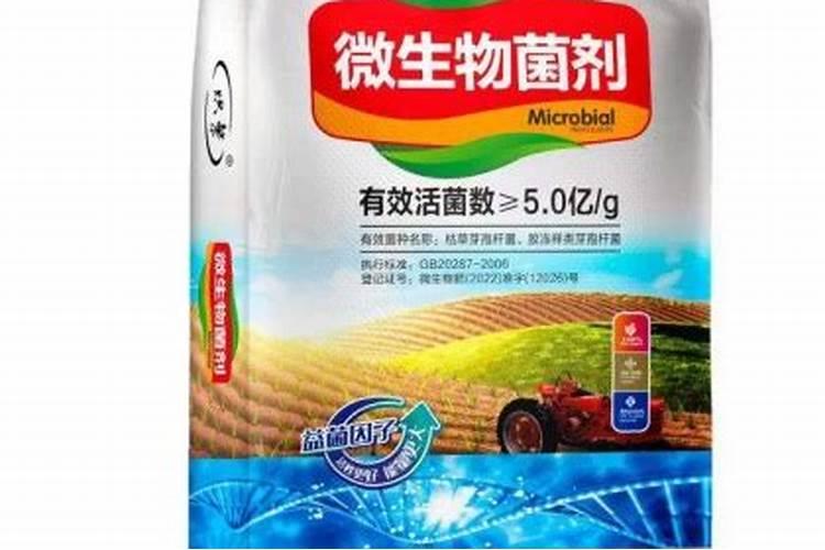 发酵菜籽饼厂家