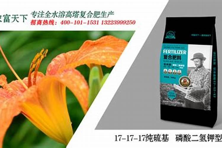 黄花菜正确施肥方法