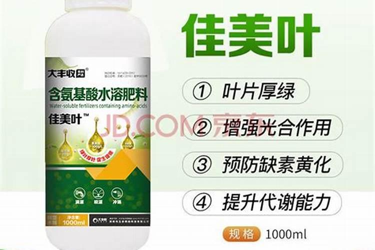 苗木施秋肥有多重要？秋季该怎么施肥？