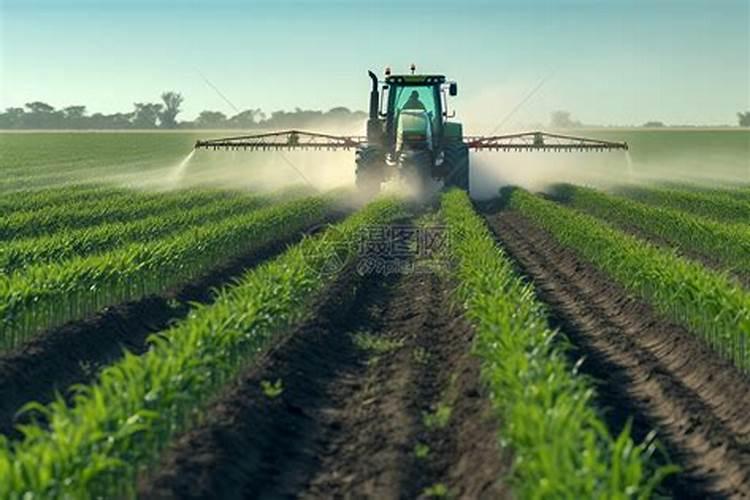 液体氮一亩地喷施多少