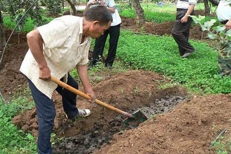 大量元素水溶肥与复合肥比较
