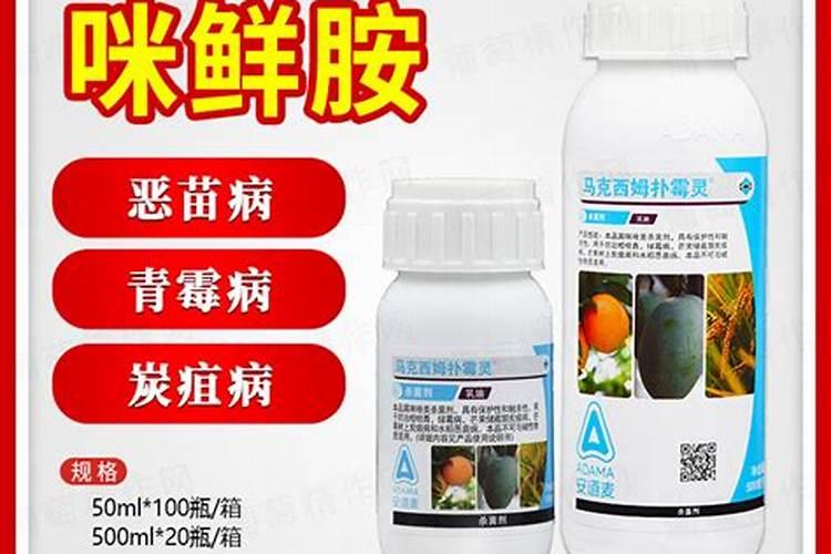 施保克在芒果幼果期可以使用吗