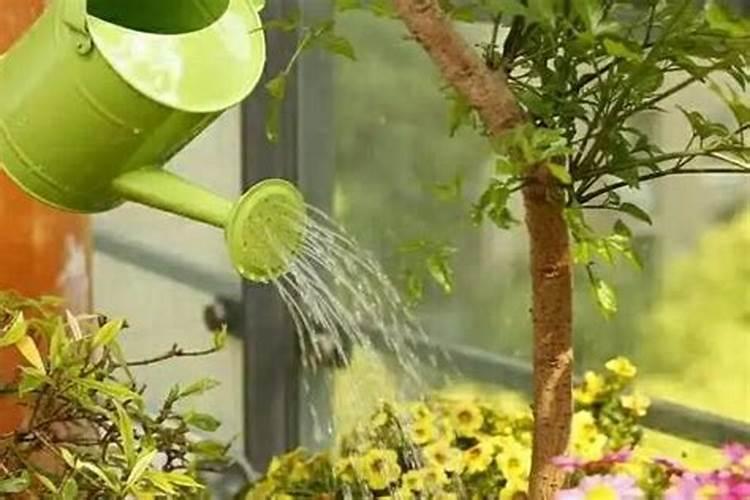 烟灰的十大用处