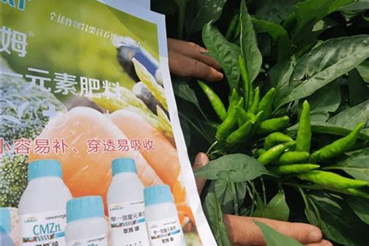 硼肥的最佳使用时期