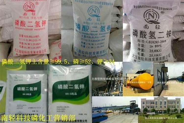 草莓现蕾期冲什么肥