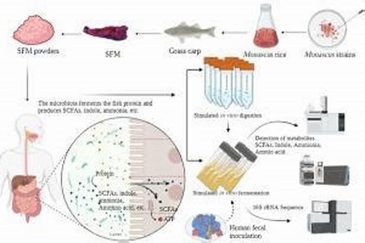 鱼蛋白,羊粪,豆粕肥可以一起用吗？