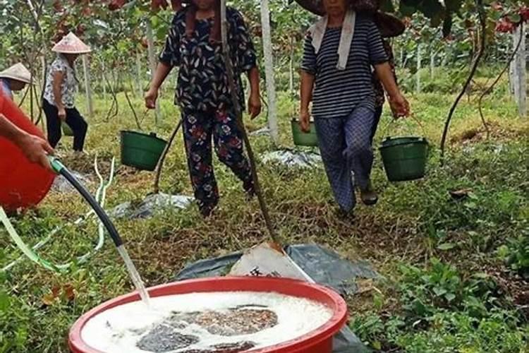 假肥料随处可见,农民买肥料,怎样辨真假