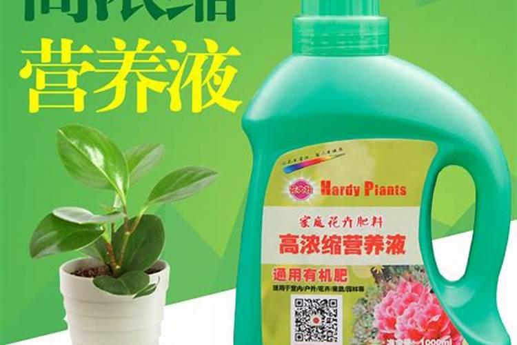 养花用什么肥料长得快给花施肥的方法